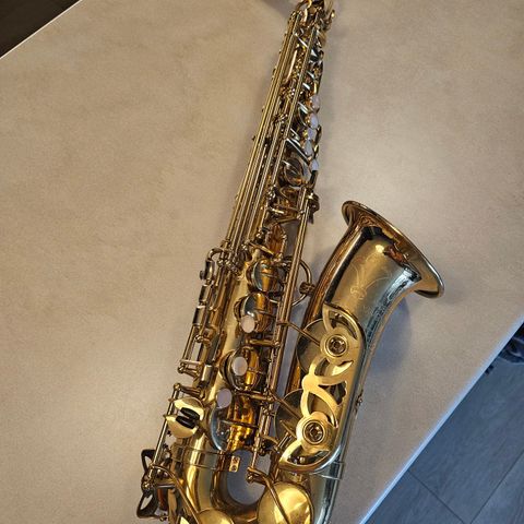 Altsax Yanagisawa