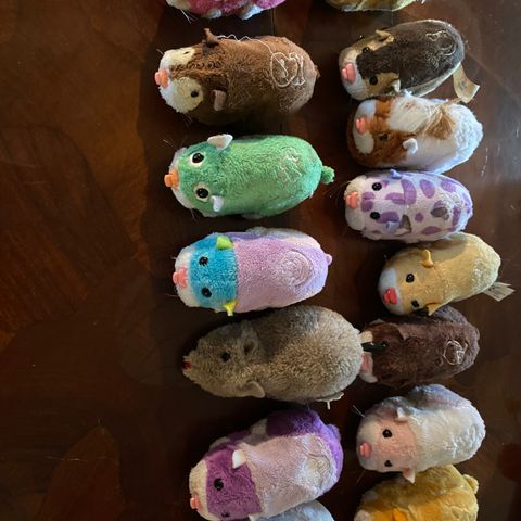 Zhu zhu pets