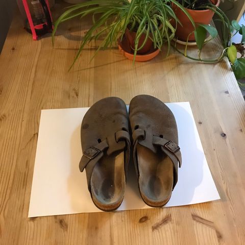 Birkenstock boston i størrelse 44