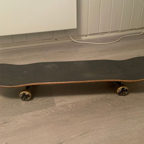 Shit skateboard