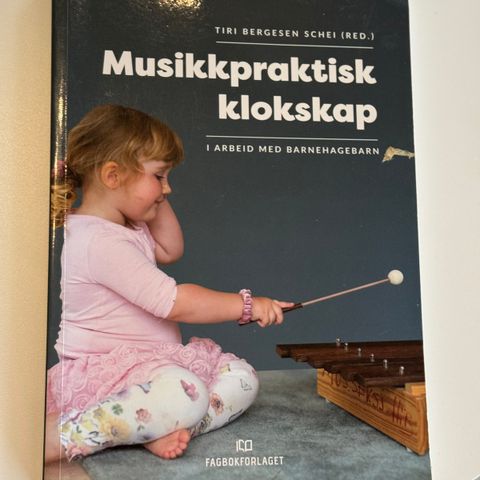 Musikkpraktisk klokskap - i arbeid med barnehagebarn