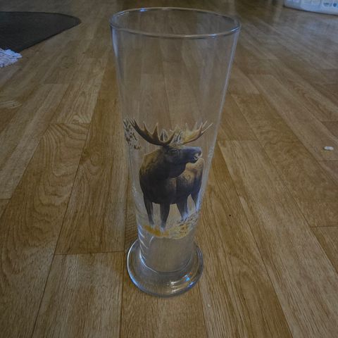 Glass/vase med elg på