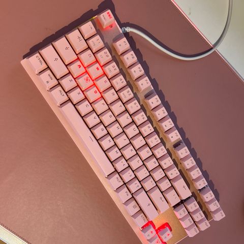 Rosa Gaming Keyboard