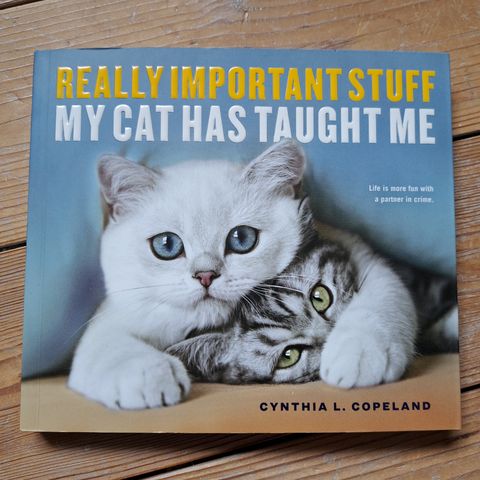 Really important stuff my cat has taught me, av Cynthia L. Copeland