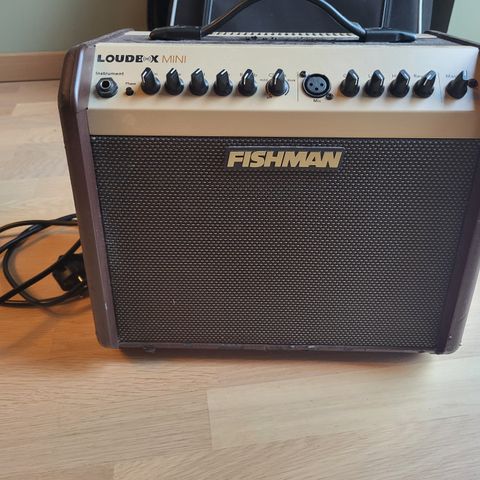 Fishman loudbox mini