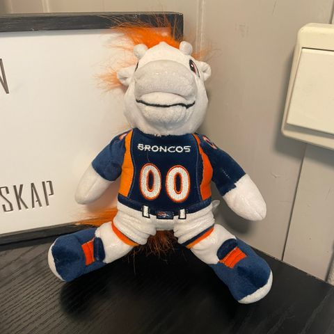 Broncos nfl mascots