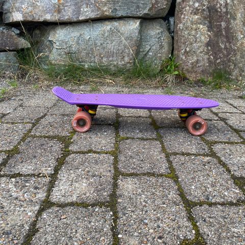 Lilla Pennyboard