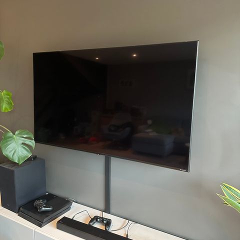 LG 55''  4K LED Nano TV fra 08-2021