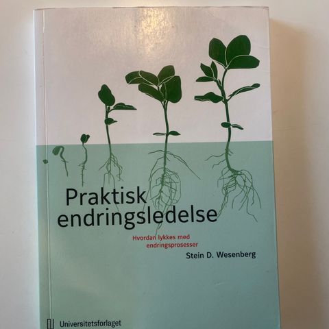 Praktisk endringsledelse