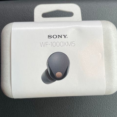 Sony wf-1000XM5 sort
