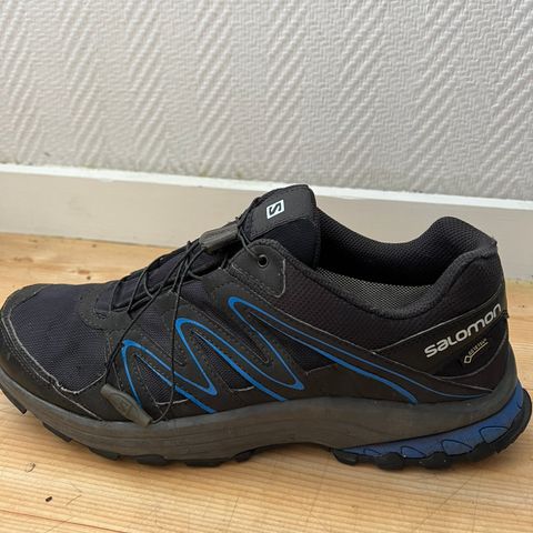 Salomon Kiliwa GTX str. 44 2/3