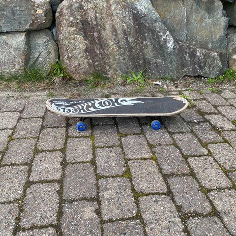HotWheels Skateboard