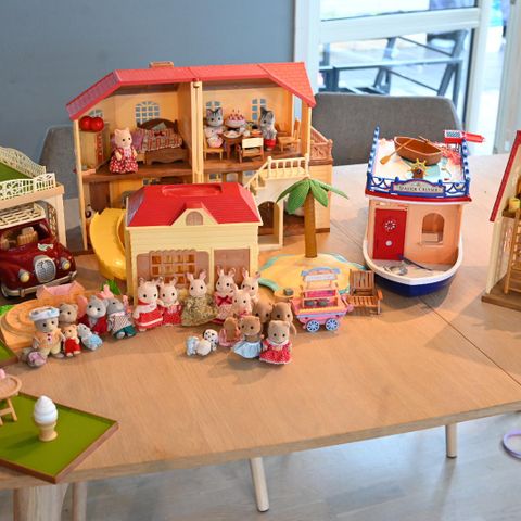 Sylvian families