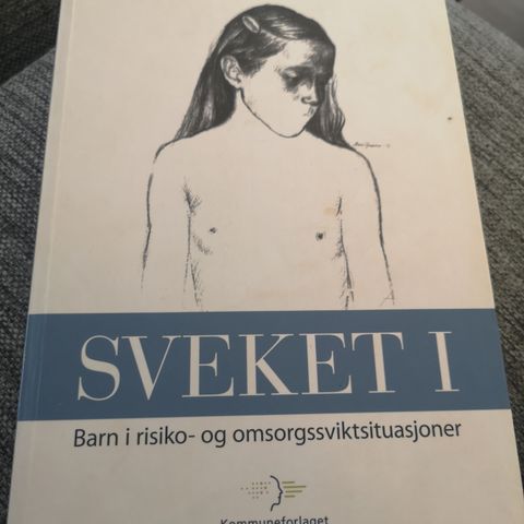 Sveket 1 - barn i risiko og omsorgssituasjoner