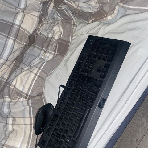 Tastatur og mus