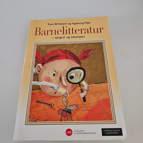 Barnelitteratur- sjangrar og teksttypar. Tone Birkeland, Ingeborg Mjør.