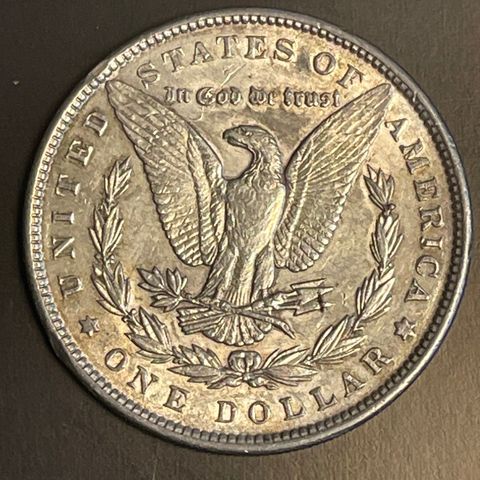 USA Morgen Dollar 1889 i Kv 1+.
