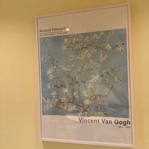 Van Gogh plakat