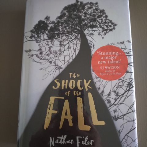 The Shock of the Fall, Nathan Filer, signert og lined