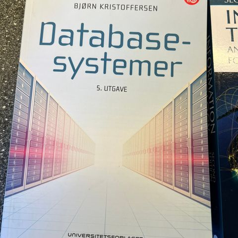 Databasesystemer