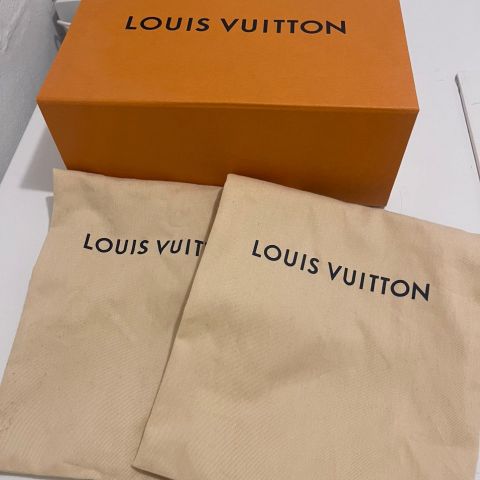 Louis Vuitton shake pump