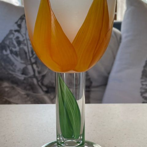 Magnor tulipan