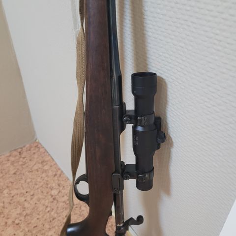 Ruger M77 350 rem mag