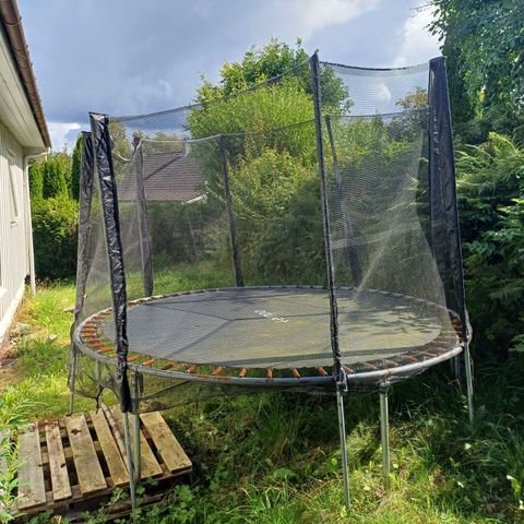 Trampoline.