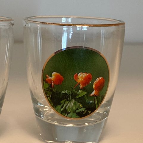 6 shotglass Flora serien, John Østeng Hov