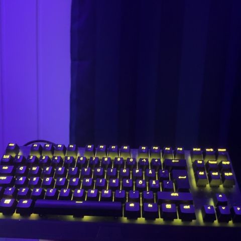 Razer blackwidow V3 TKL tastatur