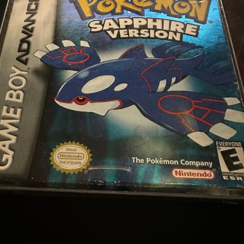 Pokémon sapphire version