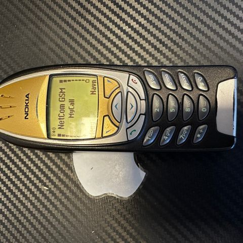 Nokia 6310