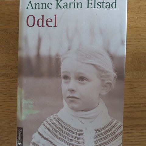 Anne Karin Elstad- bøker