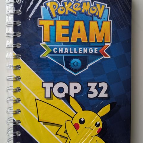 Pokemon Team Challenge Notebook