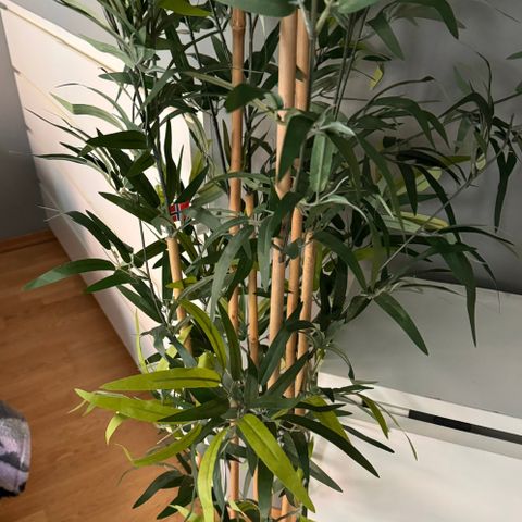 Kunstig potteplante, inne/ute bambus, 23 cm