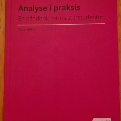 Analyse i praksis - En håndbok for masterstudenter