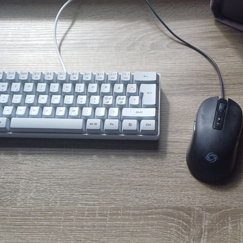 Tastatur og mus