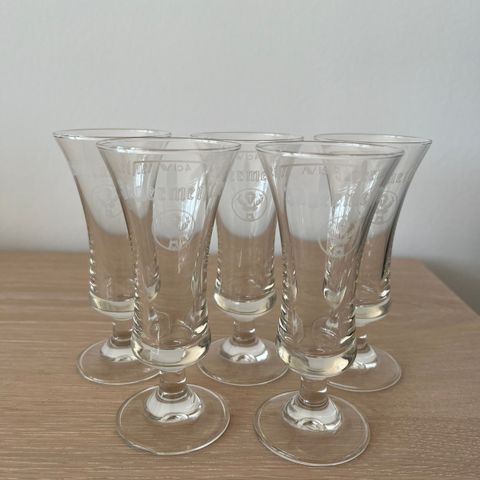 Jägermeisterglass