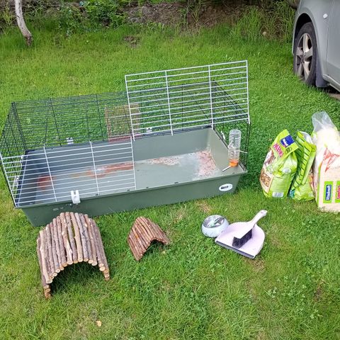 Bur og utstyr til Marsvin, kanin hamster reservert