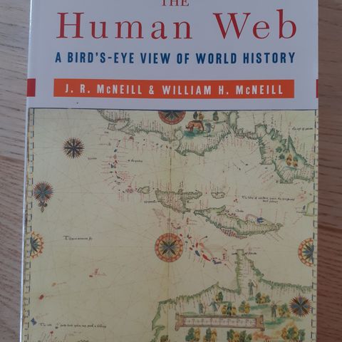 The Human Web: A Bird's-Eye View of World History (Stort utvalg)