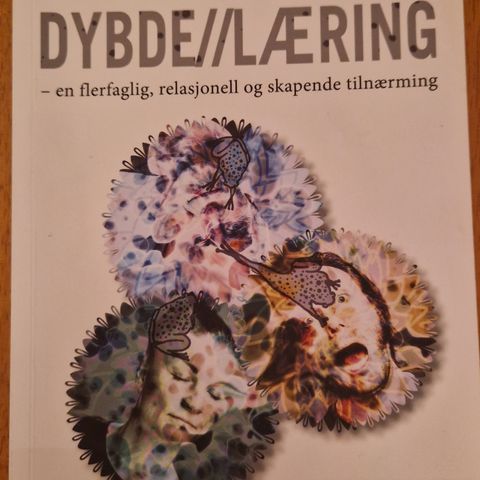 Dybdelæring - en flerfaglig, relasjonell og skapende tilnærming