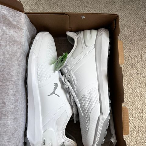 Puma Ignite Elevate Golfsko