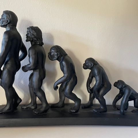 Figur evolusjon, fra ape til menneske // speedtsberg