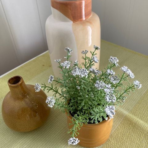 Fint sett vase 2 og krukke med blomster