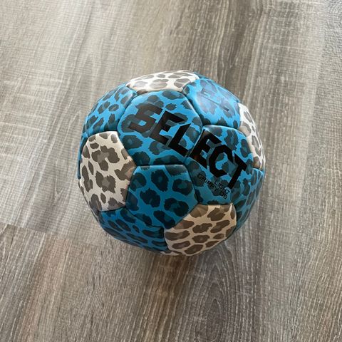 Mini håndball