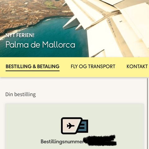 2stk Fly Palma de Mallorca - Bergen 2.aug