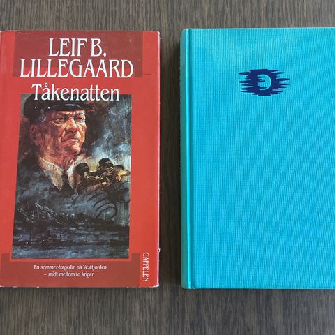 Leif B. Lillegaard, Tåkenatten og Siste patrulje