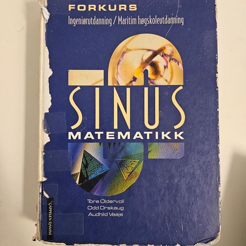 Sinus forkurs i matematikk