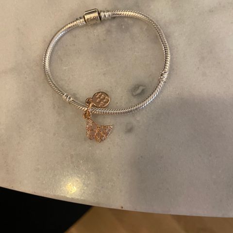 Pandora armbånd med charm