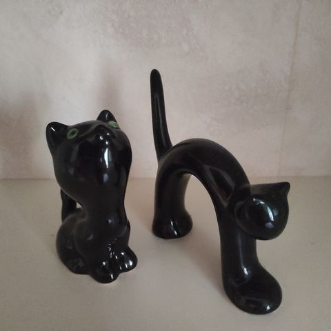 Black cats